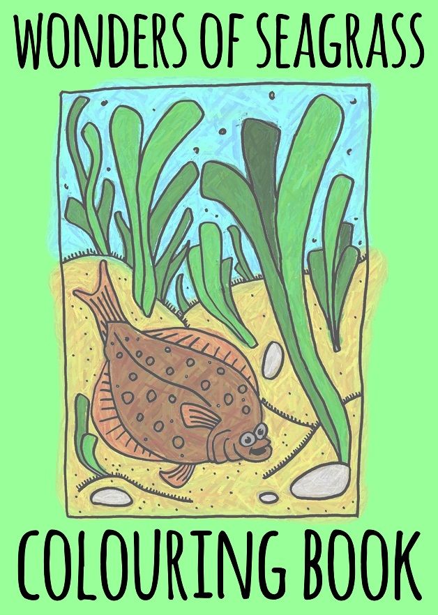 Need a break from the seasonal festivities (or just from the kids)? Then why not take a look at some of our Project Seagrass colouring resources that are free to download: North Atlantic Seagrass buff.ly/3v4pO6l Tropical Seagrass buff.ly/41sMZU5