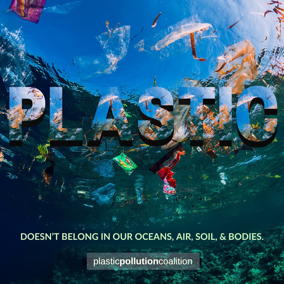 Plastic pollution impacts all of us. Steve supports Plastic Pollution Coalition & the work they are doing to address it head on, by advocating for strong policies and reusable, plastic-free solutions. Join in making a donation today. ➡️ bit.ly/stopplastictod… @PlasticPollutes