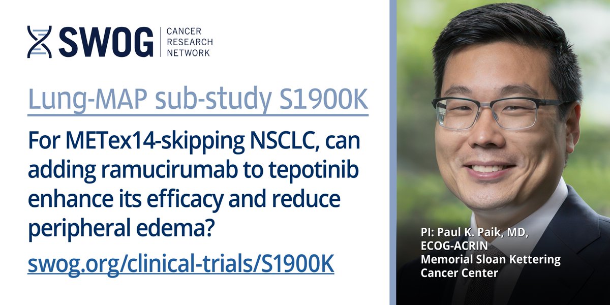 Just activated! @LungMAP's newest biomarker sub-study: S1900K. For patients with MET exon 14 skipping #NSCLC. Hypothesis: resistance to MET inhibition in these patients is due to VEGFR2 signaling. Tests adding ramucirumab to MET inhibitor tepotinib. SWOG.org/clinical-trial…