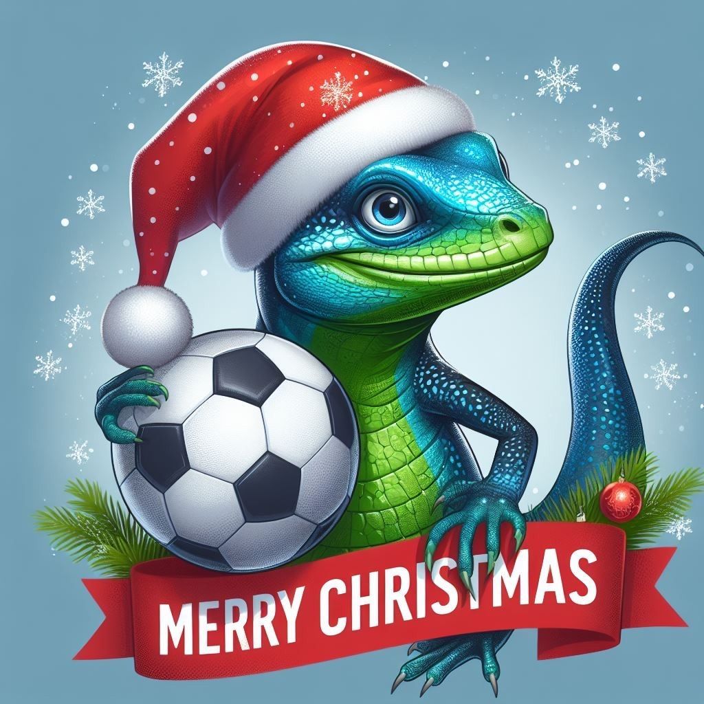 The football club would like to wish you all a Merry Christmas and a prosperous New Year. Enjoy the holiday period and be kind to everyone you meet.
Thanks for everyones support in our inaugural season and here is to a successful 2024!!
#lliswerryllizardsfc #llizards🦎#community