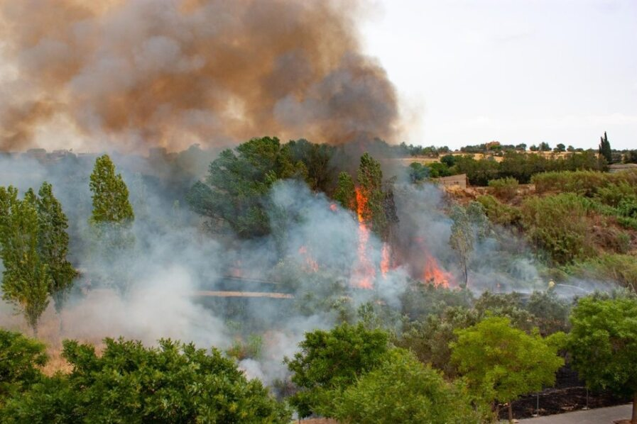 Los últimos datos revelan un aumento alarmante de los incendios forestales. Pérdida de cobertura arbórea, cambio climático y actividad humana, están llevando nuestros bosques al límite. Descubre más en nuestro nuevo blog 👇 bit.ly/3tqgysG