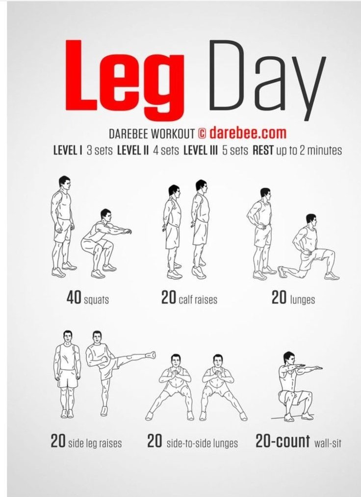 The_Life_Pad's tweet image. 3. Leg day