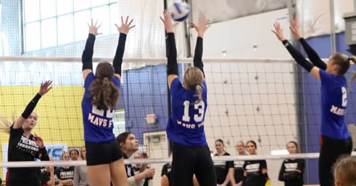 Phoenix Fogel tweet media