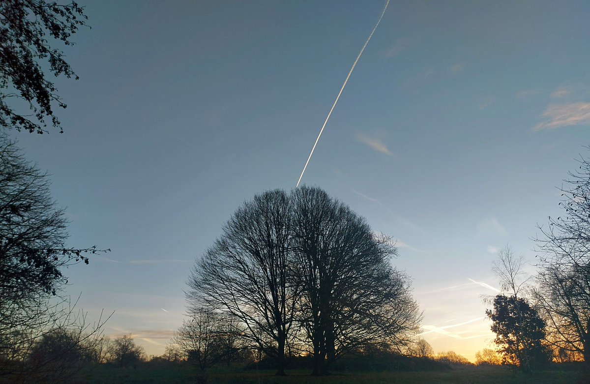 Another viewpoint of #sunrise in #KensingtonGardens @itvweather @theroyalparks #trees