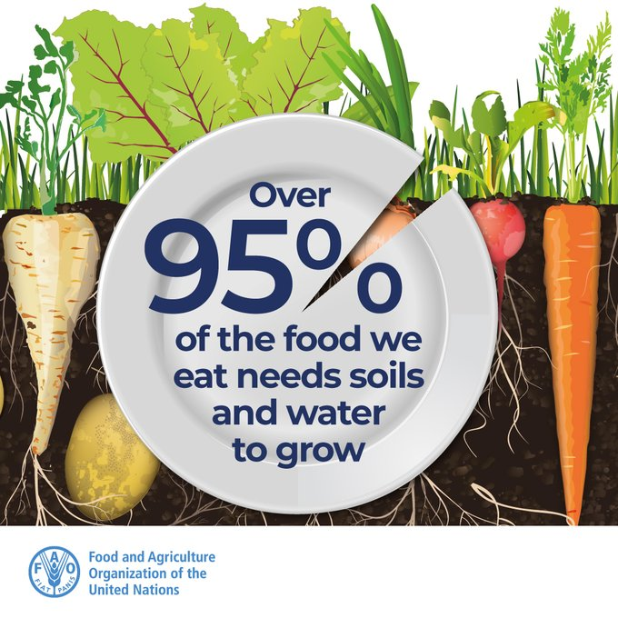 UNBiodiversity's tweet image. Water is food, and food is water!

Over 9⃣5⃣% of the food we eat is produced on land, starting with soils and water.

Let’s manage this precious resource wisely to ensure food security and nutrition for all.

#SDGs     #WaterAction

Via @FAOLandWater