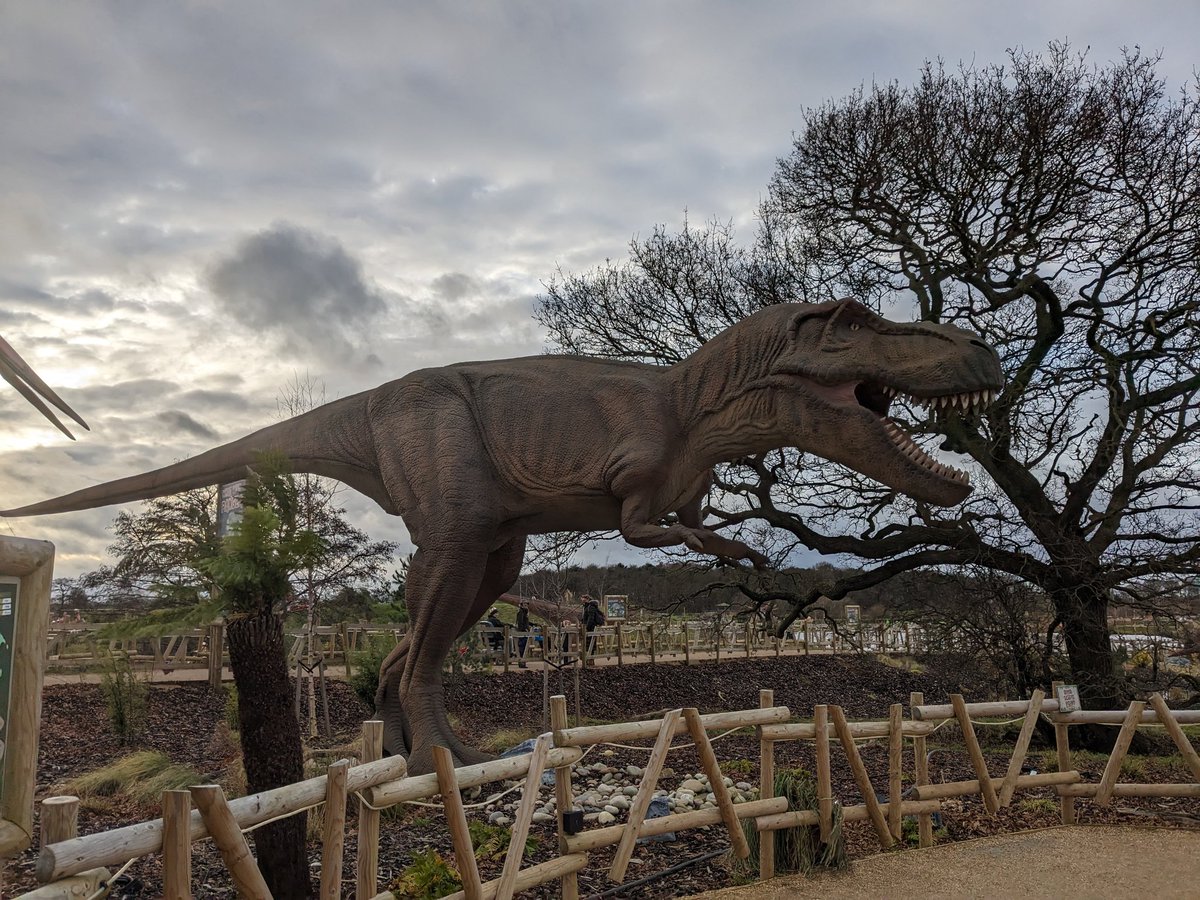 Lucy Wasinski (@l_wasinski) on Twitter photo Thanks <a href="/YorkshireWP/">Yorkshire Wildlife Park 🦁</a> and <a href="/SheffieldHosp/">Sheffield Hospitals</a> for the tickets to the park! Finally made use of them and it didn't disappoint! Even dodged the rain! Highlights were the dinosaurs, the playgrounds (obvs) and the tiger 🐯 roaring loudly...we will be back! Thanks <a href="/YorkshireWP/">Yorkshire Wildlife Park 🦁</a> and <a href="/SheffieldHosp/">Sheffield Hospitals</a> for the tickets to the park! Finally made use of them and it didn't disappoint! Even dodged the rain! Highlights were the dinosaurs, the playgrounds (obvs) and the tiger 🐯 roaring loudly...we will be back!