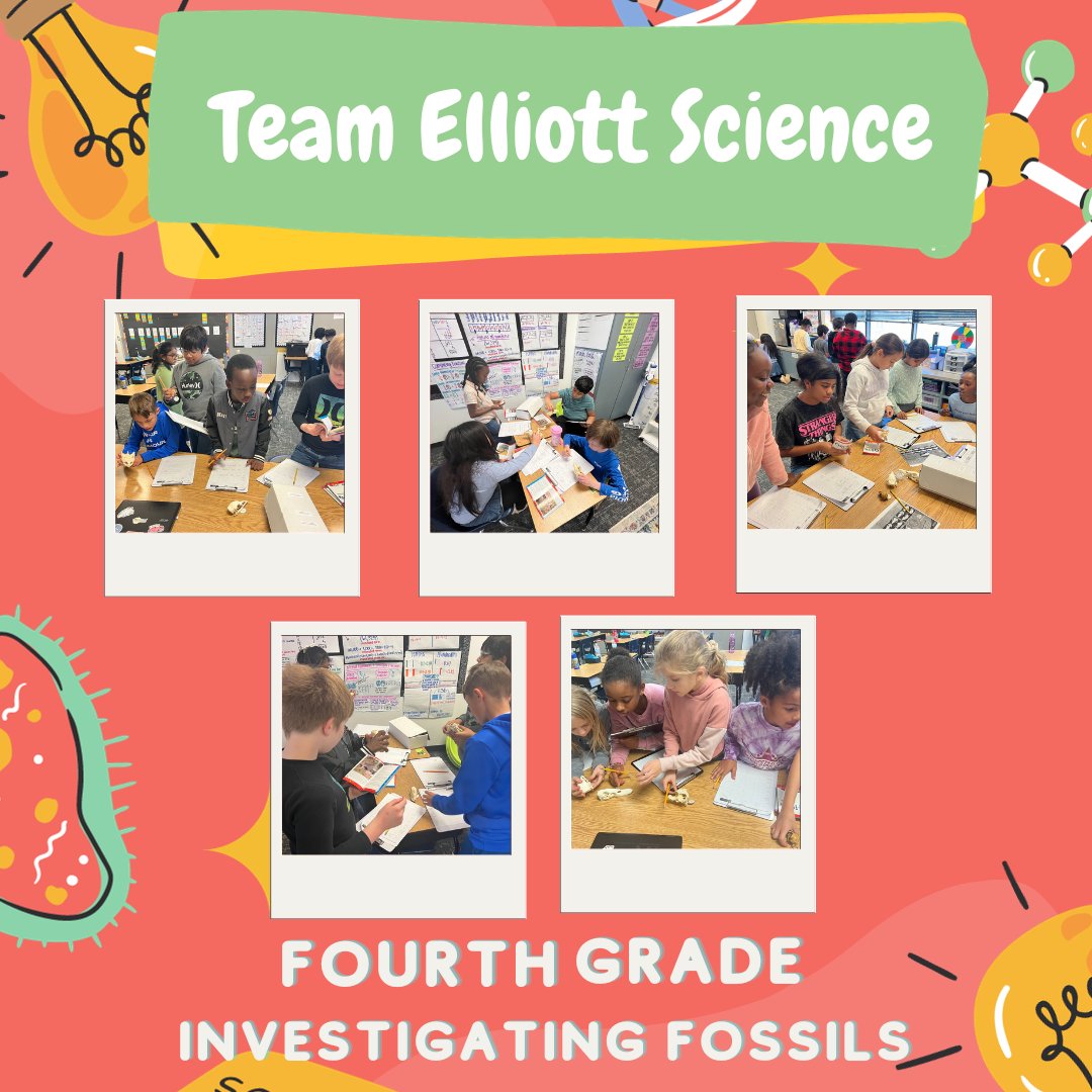 Fourth grade is investigating the different skulls and fossils of Texas organisms. #elliottachievers #fisdelevates