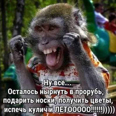 elena_p2017's tweet photo. https://t.co/waO5HjHyon
