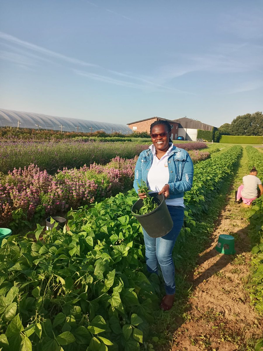 kenaff_farmers's tweet photo. Happy New Year, dear farmers! As we step into 2024, may our hard work blossom into bumper harvests. This year, let's join hands in fostering a sustainable, nutritious, and livelihood-enhancing agriculture sector.

#HappyNewYear2024 #SustainableFarming https://t.co/VSlVw4Dfh1