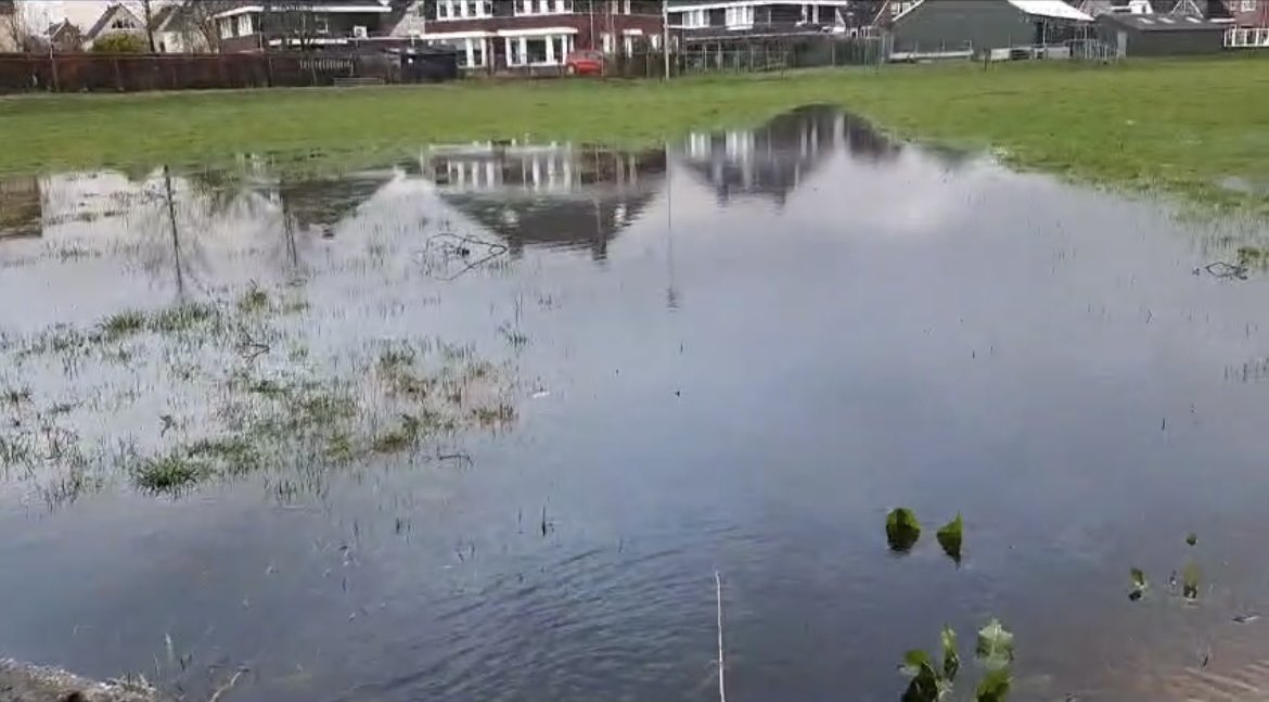 IJsvereniging WVF tweet media