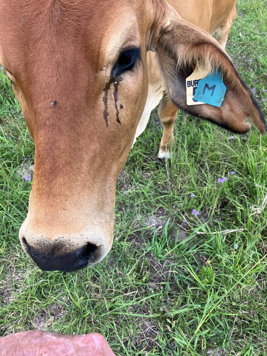 James Fowles tweet media