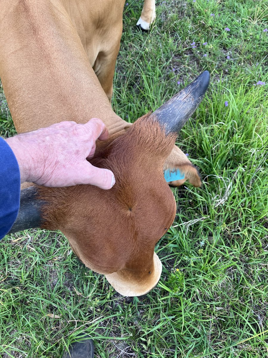 James Fowles tweet media