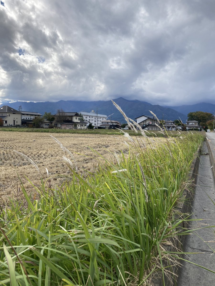 feat_e2's tweet photo. 喪中なので、
実家にも帰らず帰れず寂しいお正月休みでした。 https://t.co/rn3dQlkrFq
