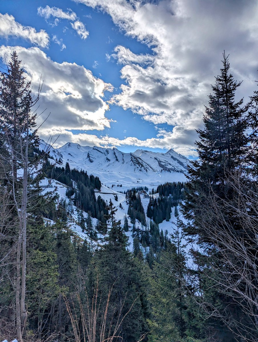 HikingSchweiz's tweet photo. Yesterday was another glorious day in Central Switzerland. A few pictures from a sunny afternoon at Klewenalp. 
#Switzerland 🇨🇭 https://t.co/PJS90UwZ0j