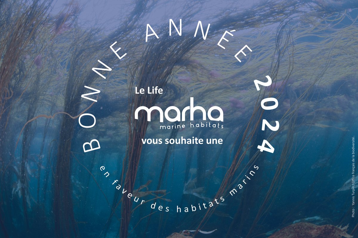 Le @LIFEprogramme #Marha vous souhaite une bonne année ❷⓿❷❹ pour la préservation des habitats marins ! 🌊🪸🐟