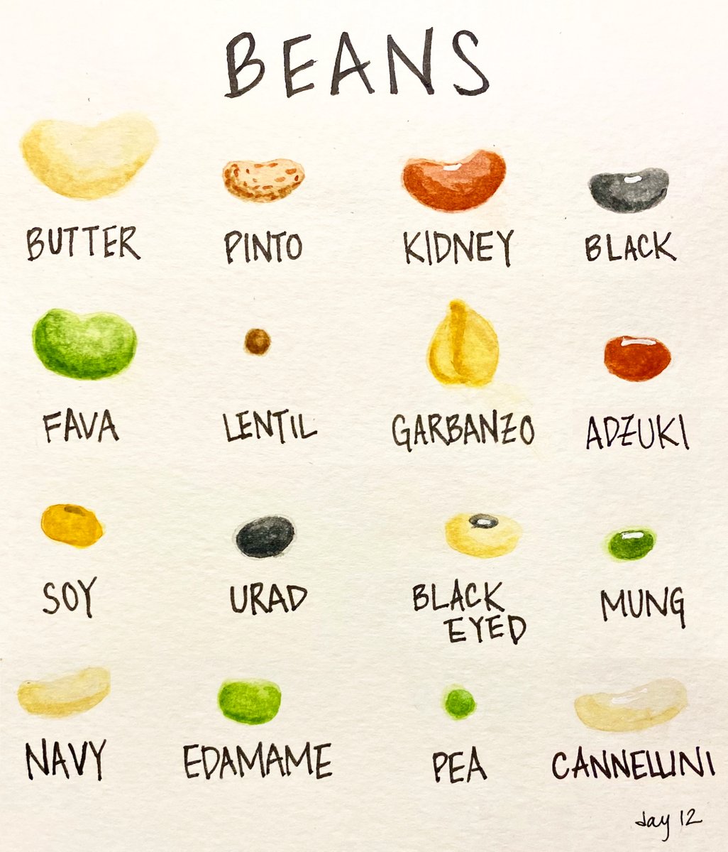 so many reasons to love #beans: 
😋 delicious + healthy
🌬️low #carbon footprint (100x LESS #emissions per gram of protein than beef)
💧water-efficient
🌱improve soil/water quality
🌈huge variety

check out @beansishow to learn more!

#foodsystems #sustainability #climatechange
