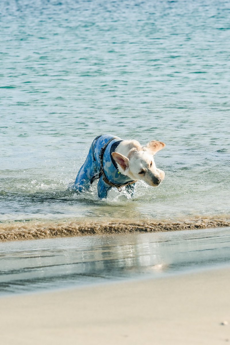 今年は暖冬なのかな？
冬の海は誰もいなくて貸切～🙌✨
