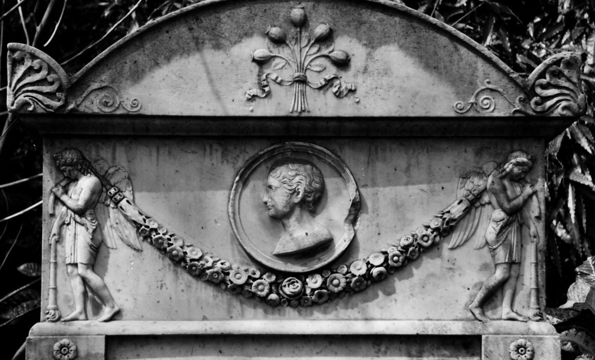 Immersive Trails tweet media