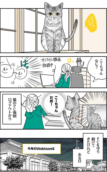 【3話】猫の生き方「私を見て!」(1/3)