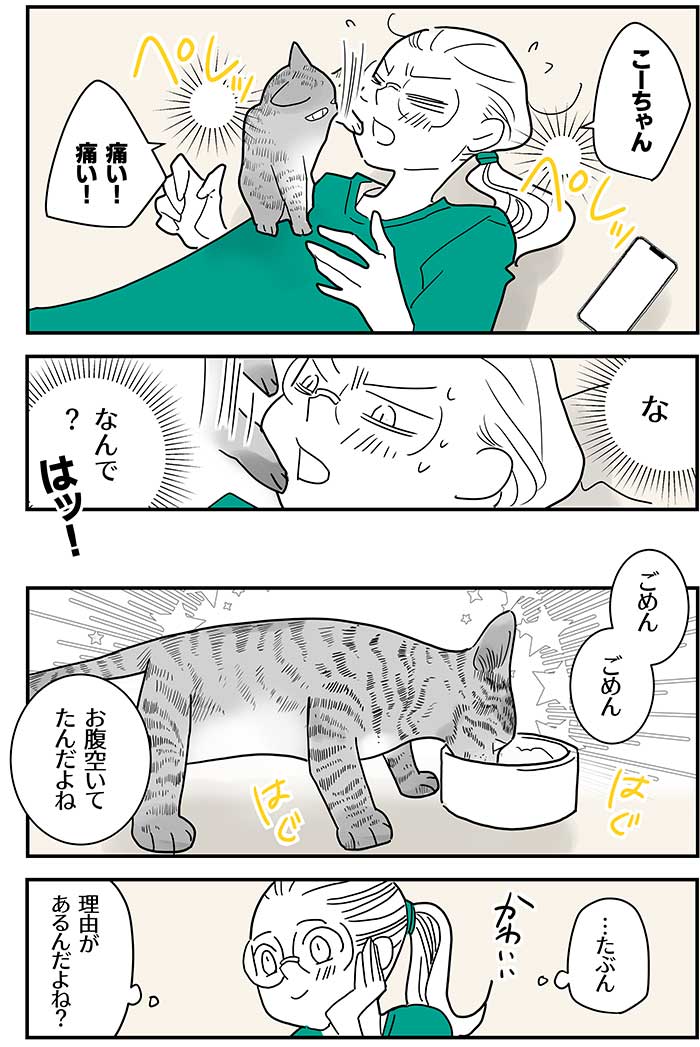 【3話】猫の生き方「私を見て!」(2/3)