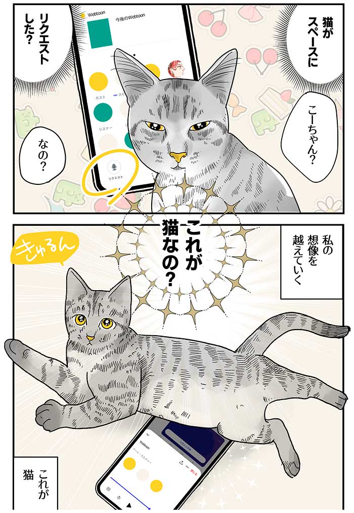 【3話】猫の生き方「私を見て!」(3/3)