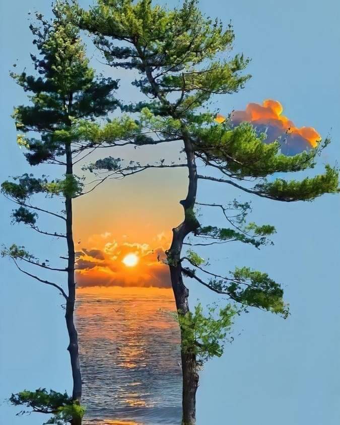 ومِن عادةِ الأيّامِ أنّ خُطوبَها 
 إِذا سرّ منها جانبٌ ساء جانبُ..                صباح الخير💐