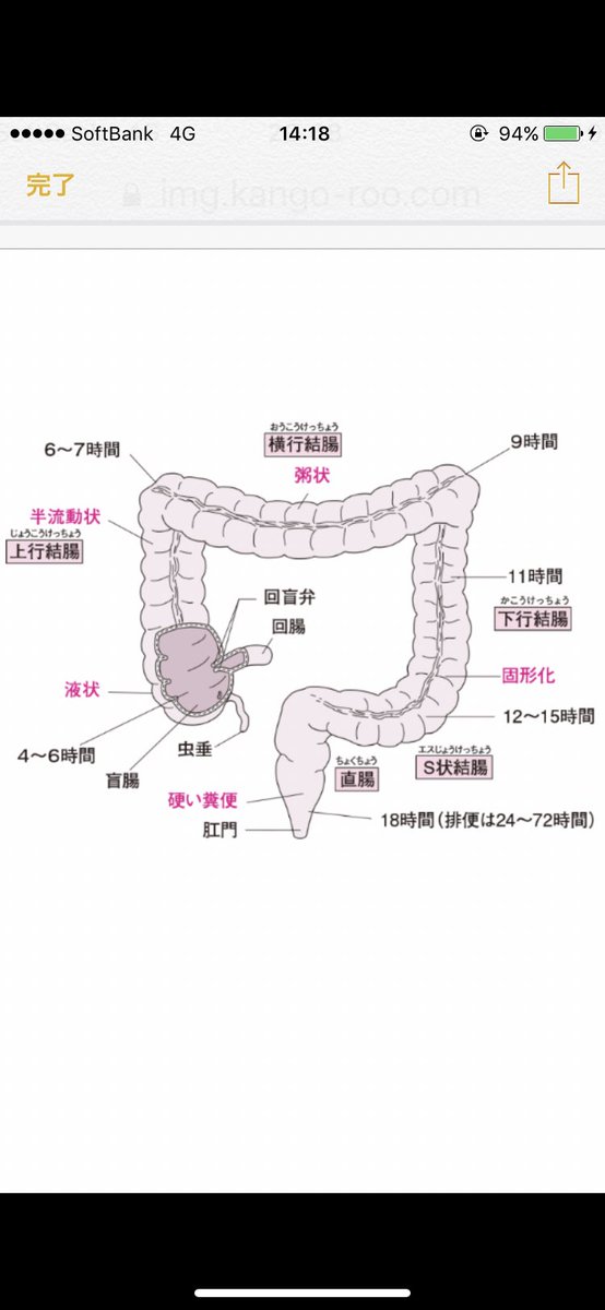 🐳アナル洗浄の基本1 🐳

👑超絶悶絶ミラクル重要

1、直腸の1番奥（直腸S状部）はヘソより上で力むと締まるので、強く力んでるのにお湯が出せない人は、完全に力み方間違ってます🥶

2、一般の皆様の力む力の10分の1以下の強さで、ドバァっと綺麗に出すには排尿の力み方で出す事💦

続くよぉ〜ん🤭