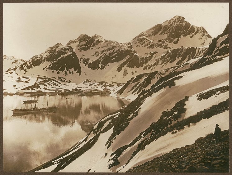 William Dalrymple tweet media