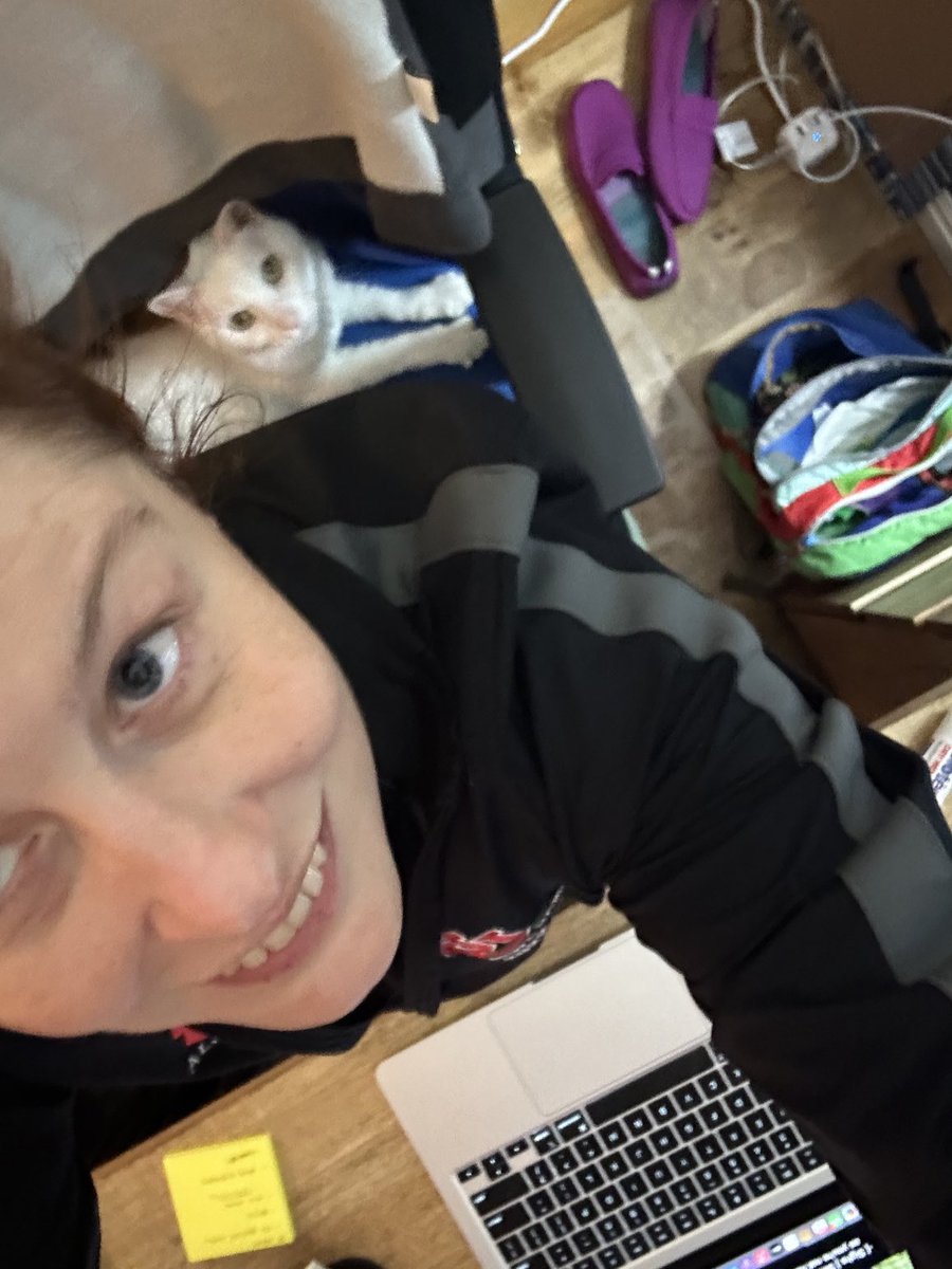 shakespeareprof's tweet photo. Supervisor SnowPea is really micromanaging me tonight. @catjobs #kitteh! #mine #ChairmanMeow #UnionizeNow! https://t.co/mtqWhAoIym