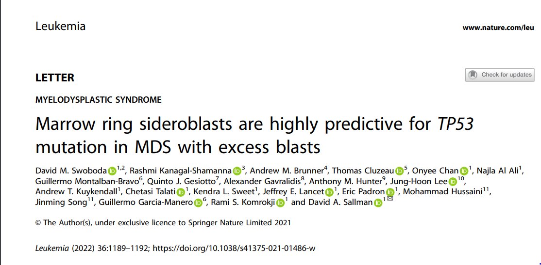Sanam Loghavi, MD صنم لغوی 🔬🧬 (@sanamloghavi) on Twitter photo In fact: if you see MDS with increased blasts and increased ring sideroblasts.. there's a pretty good chance you're dealing with TP53 mutated MDS as shown nicely in this study in <a href="/LeukemiaJnl/">Leukemia Journal</a> nature.com/articles/s4137…
8/ In fact: if you see MDS with increased blasts and increased ring sideroblasts.. there's a pretty good chance you're dealing with TP53 mutated MDS as shown nicely in this study in <a href="/LeukemiaJnl/">Leukemia Journal</a> nature.com/articles/s4137…
8/