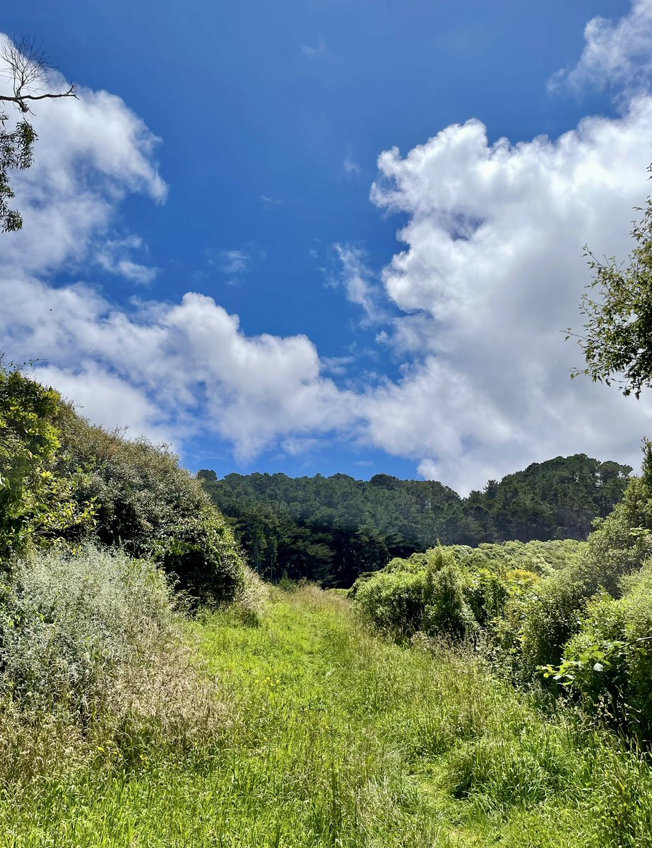 Karori @Wellington_NZ