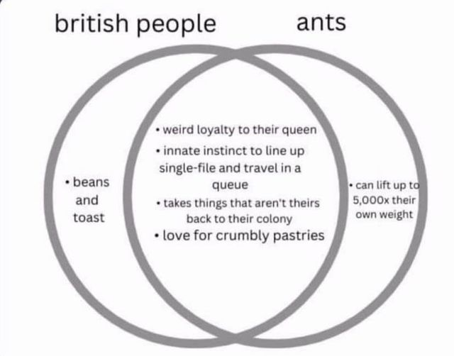 Venn says it all.