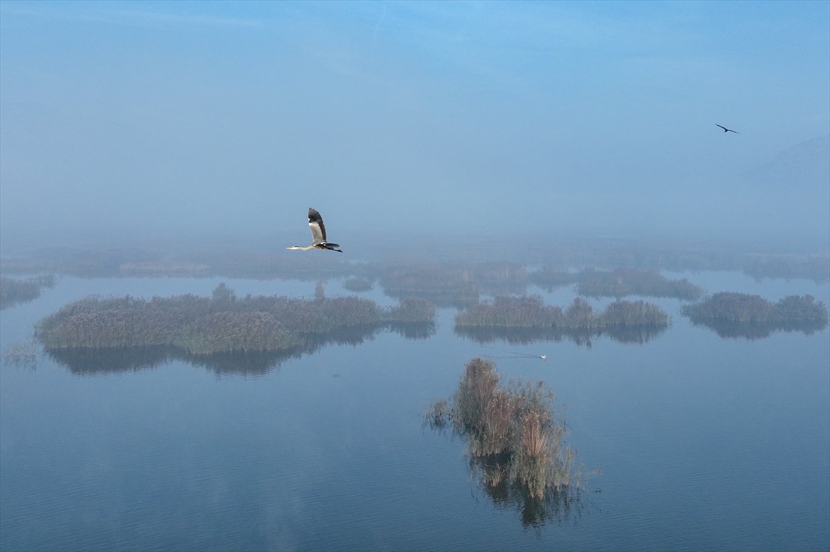 Günaydın İzmir | 4 Ocak Perşembe
🌫️İzmir'de bugün hava sisli
🌫️En yüksek sıcaklık 19°C
🌫️En düşük sıcaklık 12°C
💦En yüksek nem %96
💦En düşük nem %67
💨Rüzgar %15 km/s
📍Selçuk