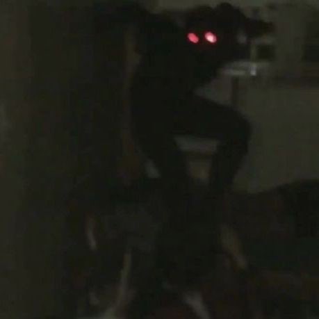 Hydiehyder (@barrheidi74635) on Twitter photo 