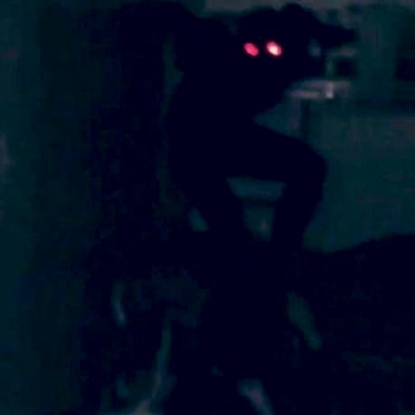 Hydiehyder (@barrheidi74635) on Twitter photo 