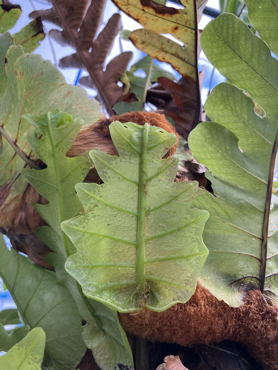 many hobbies (@manyhobbies12) on Twitter photo 