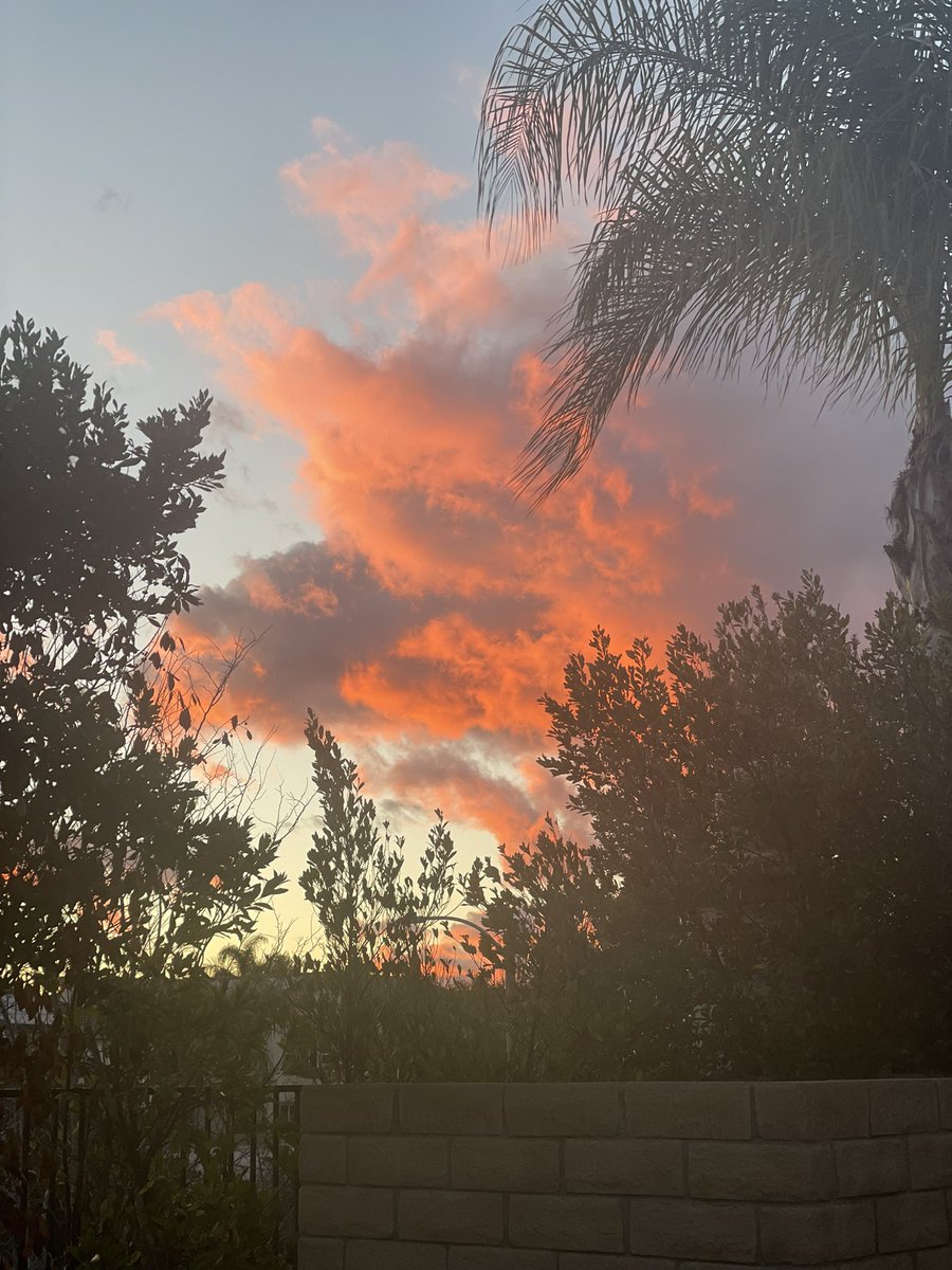 I took this earlier! #California #CaliforniaSunSets #Sunsets #PalmTrees #PalmFonds #Nature #Photo #Pictures #Pink #Clouds #TheSky #Sky #PinkClouds #Clouding