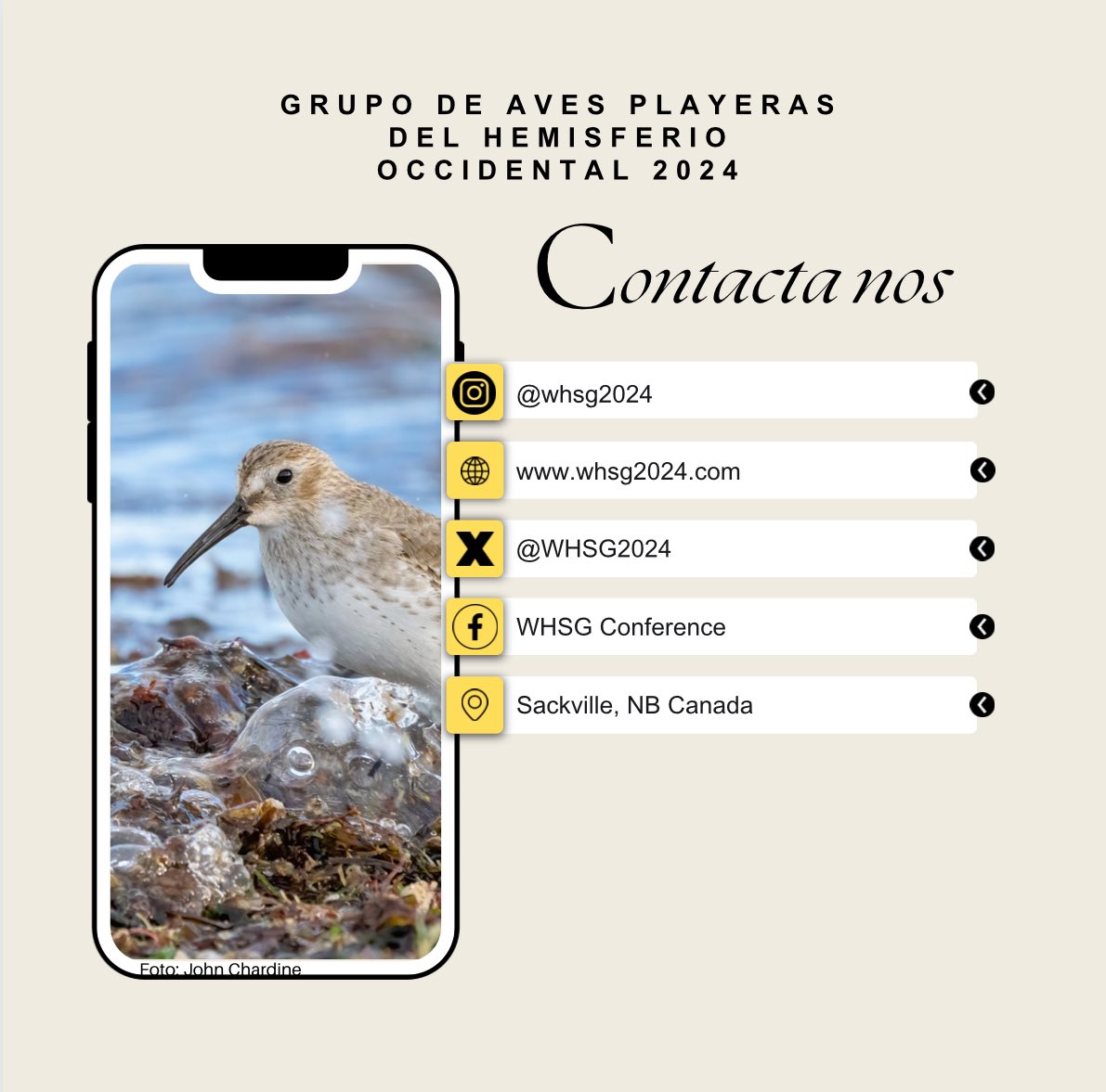 Western Hemisphere Shorebird Group 2024 tweet media