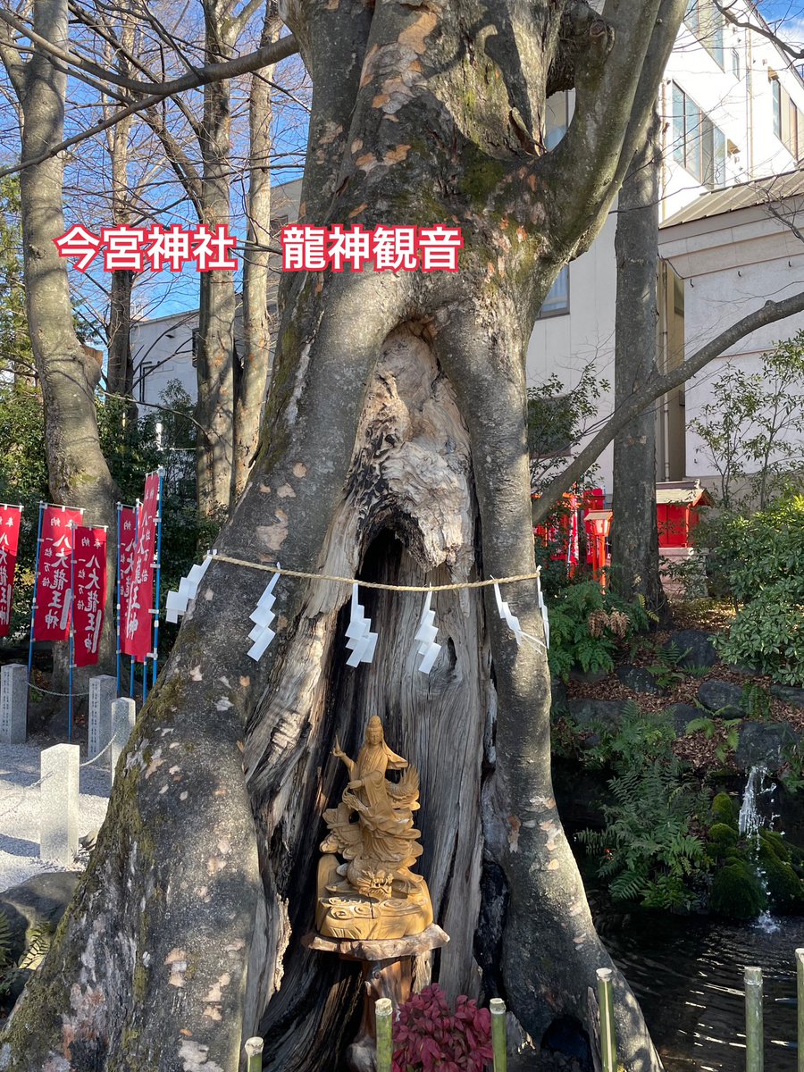 本年もよろしくお願いします‼️ 今年の干支は「辰」🐉 龍にまつわる