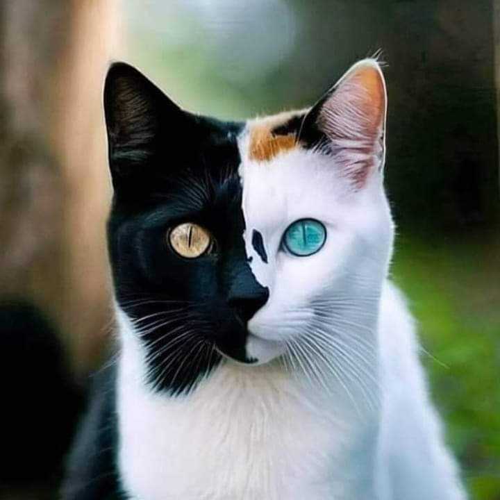 ARahimkakar's tweet photo. #NewProfilePic https://t.co/SeNPOGQBjH