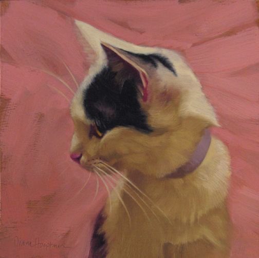 I don’t have a clue for what I’m doing on X