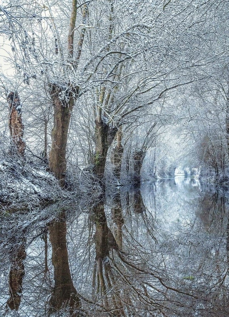 Good morning my friends !
#photos #photography #morning #snow #sunrise #magic