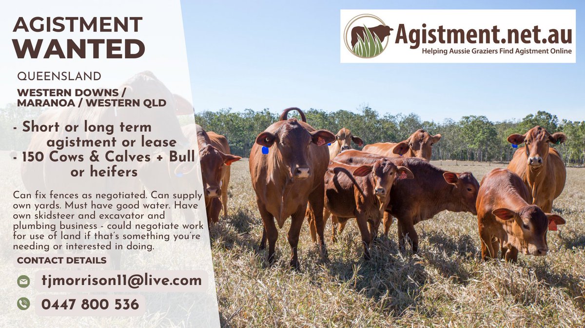 BirchmoreDavid's tweet photo. Seeking agistment or long term forestry lease - open to purchasing lease or happy to agist https://t.co/6rR4LNpvJw
