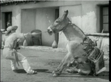 BRNekked42's tweet image. #HowToKnowWhenToRetire 
When the photocopy of your ass, from the Christmas party, comes out of the copier the first day back after the holidays.