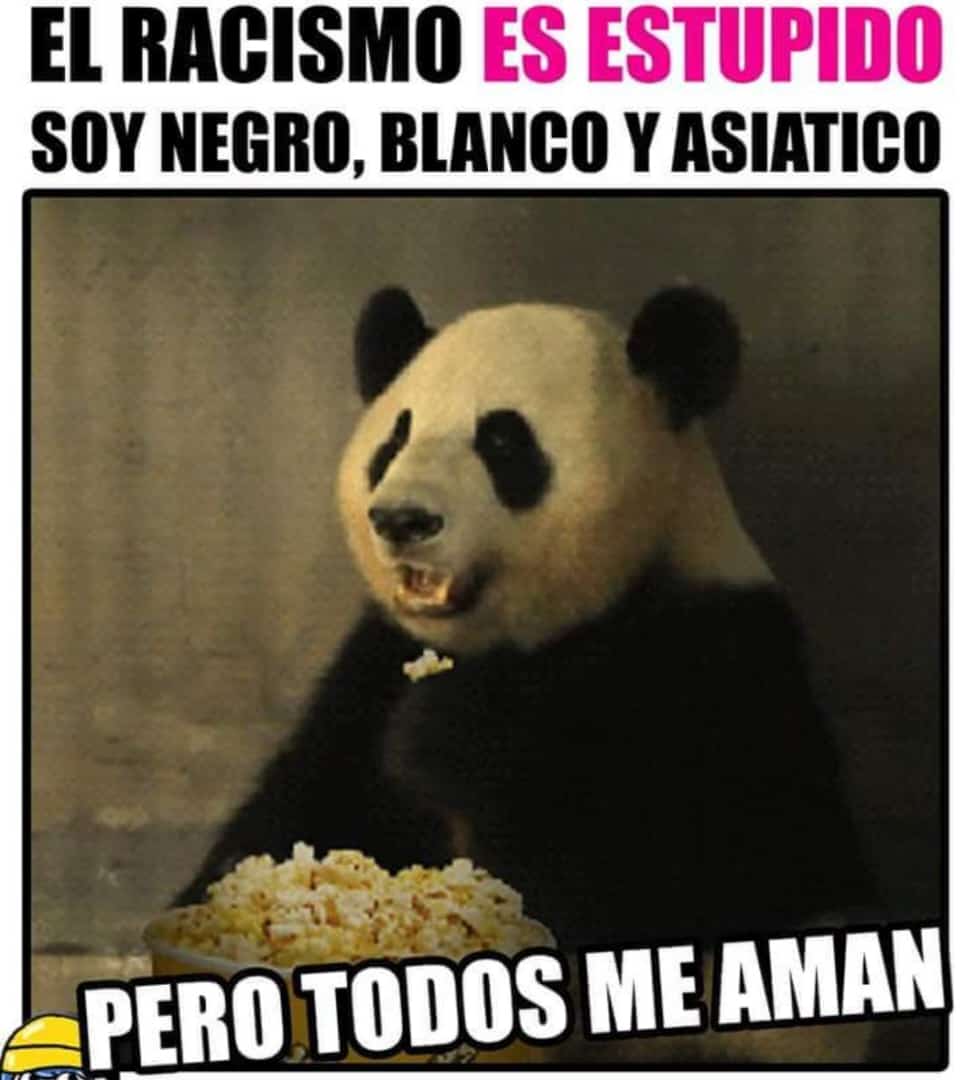 DonMemazos (@donmemazos) on Twitter photo 