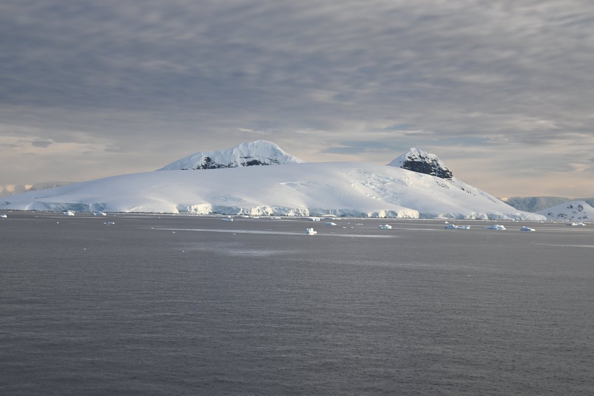 Dr Christelle Auguste tweet media