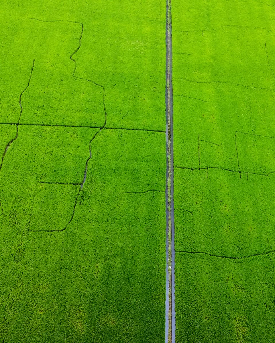 Alleppey ! Kerala