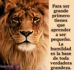 MariaVa79's tweet image. todoenimgenes.com/imagenes-de-le…