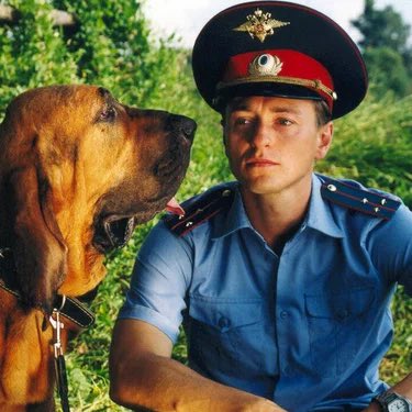 the_shimponavt's tweet photo. Ребята, это шок! https://t.co/K5oW2cmmrH