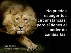 MariaVa79's tweet image. pinterest.com.mx/camarenasilvia…